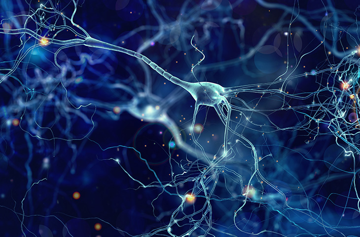 Life Science 730X480