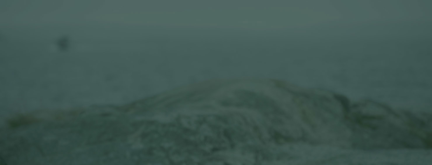 About Us 1480X565